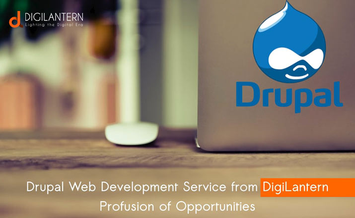 Get-Accountable-Drupal-Web-Development-Service-From-DigiLantern